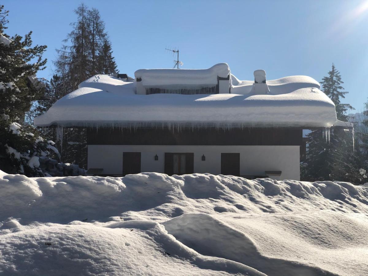 Luxury Panoramic 3Br Apt 2Min To Centre 5Min To Lifts Cortina d'Ampezzo Buitenkant foto