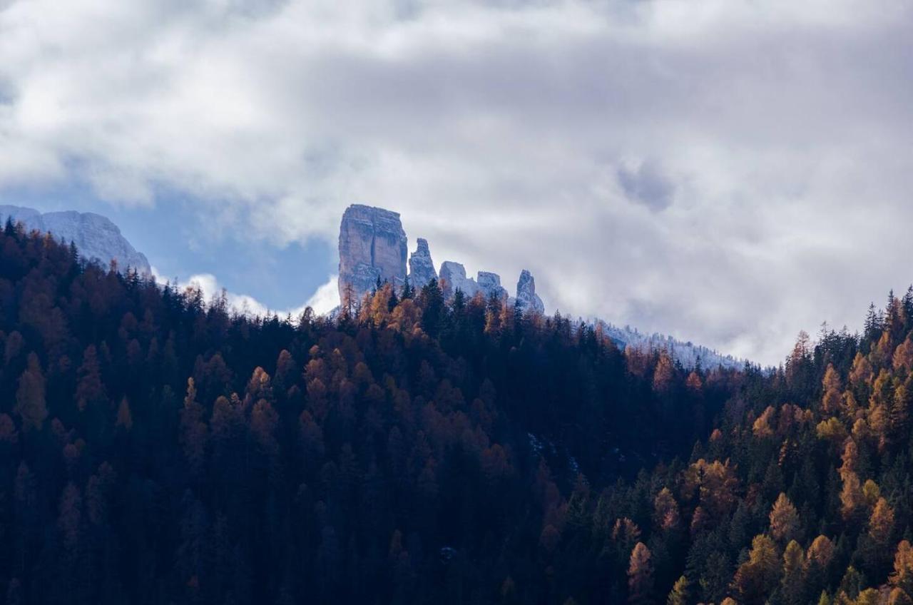 Luxury Panoramic 3Br Apt 2Min To Centre 5Min To Lifts Cortina d'Ampezzo Buitenkant foto